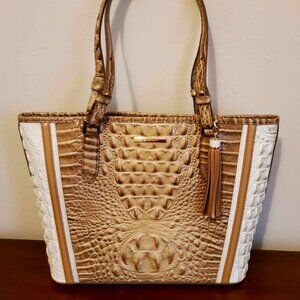 Brahmin Medium Asher